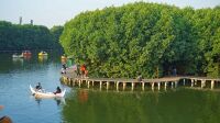 3 Cara Rehabilitasi Hutan Mangrove Lewat Ekowisata Berbasis Masyarakat