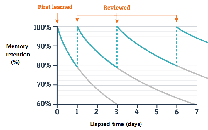 grafik the forgetting curve