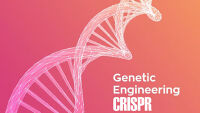 Bioteknologi: Menggunakan CRISPR Untuk Menyembuhkan Penyakit Dan Modifikasi DNA