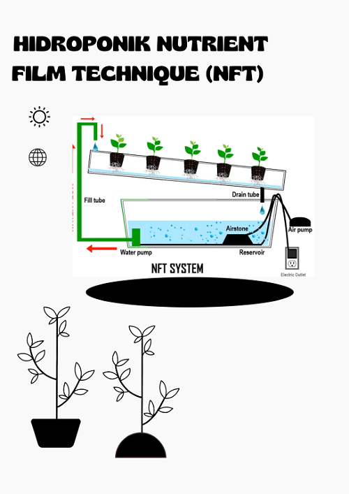 Back To Nature Hidroponik Nft Nutrient Film Technique - vrogue.co